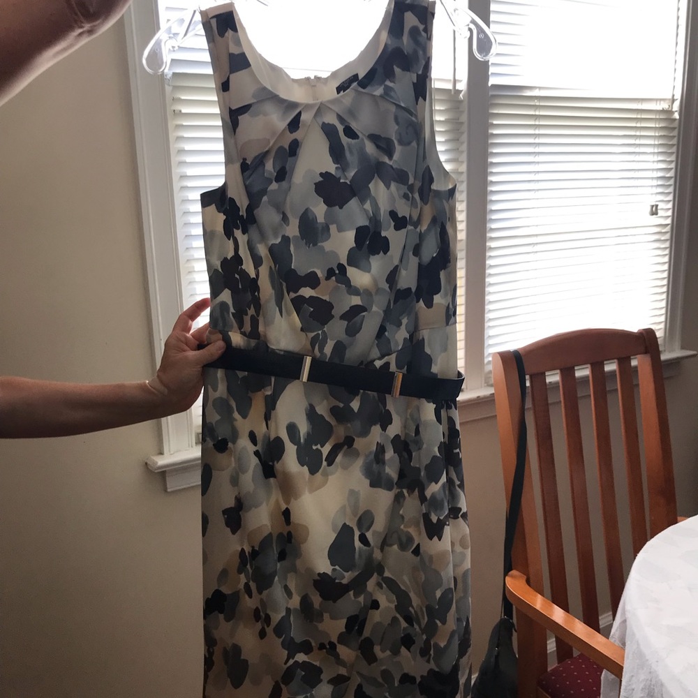 Anne Taylor Dress